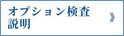 オプション検査説明
